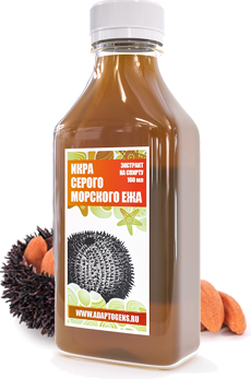 Вытяжка из трепанга. Дальневосточный трепанг. Морской трепанг. Еж на меду. Экстракт на спирту морского ежа.